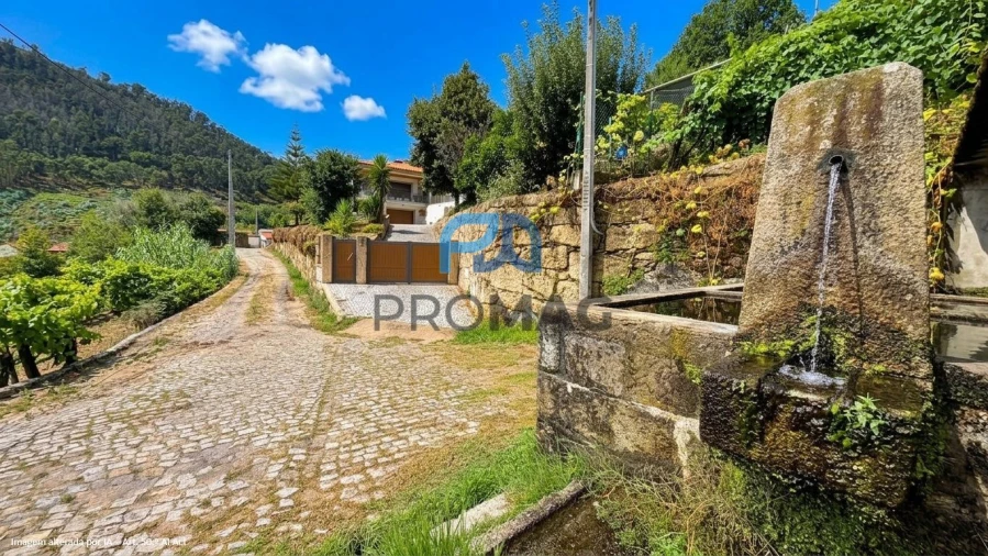 Terreno para Venda em Santa Marinha do Zezere Foto 6