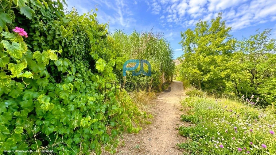 Terreno para Venda em Santa Marinha do Zezere Foto 10