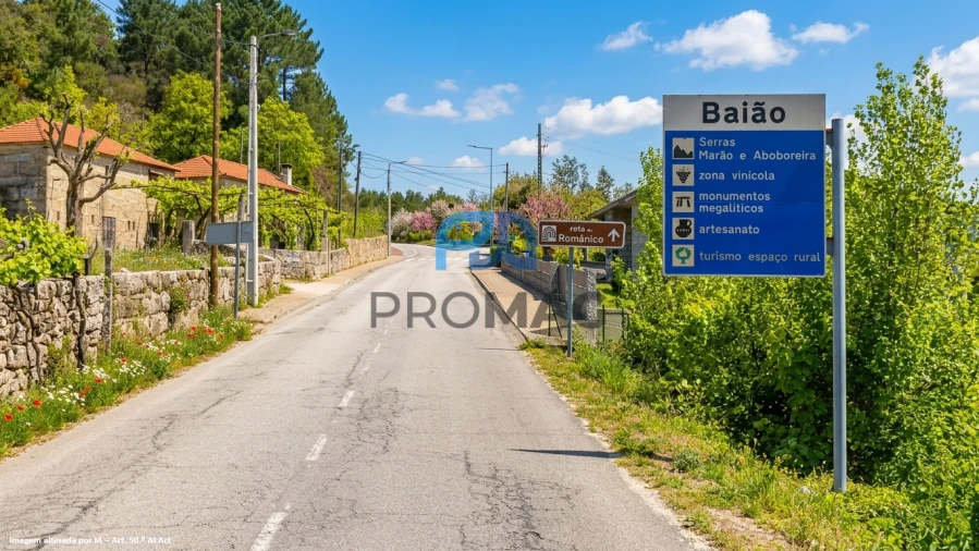 Terreno para Venda em Santa Marinha do Zezere Foto 3