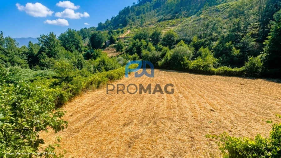 Terreno para Venda em Santa Marinha do Zezere Foto 12