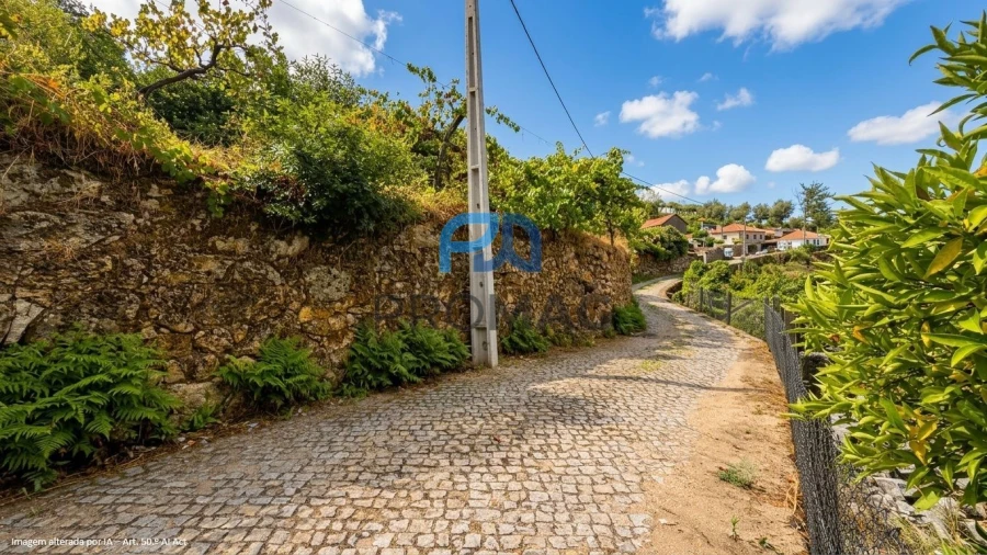 Terreno para Venda em Santa Marinha do Zezere Foto 5