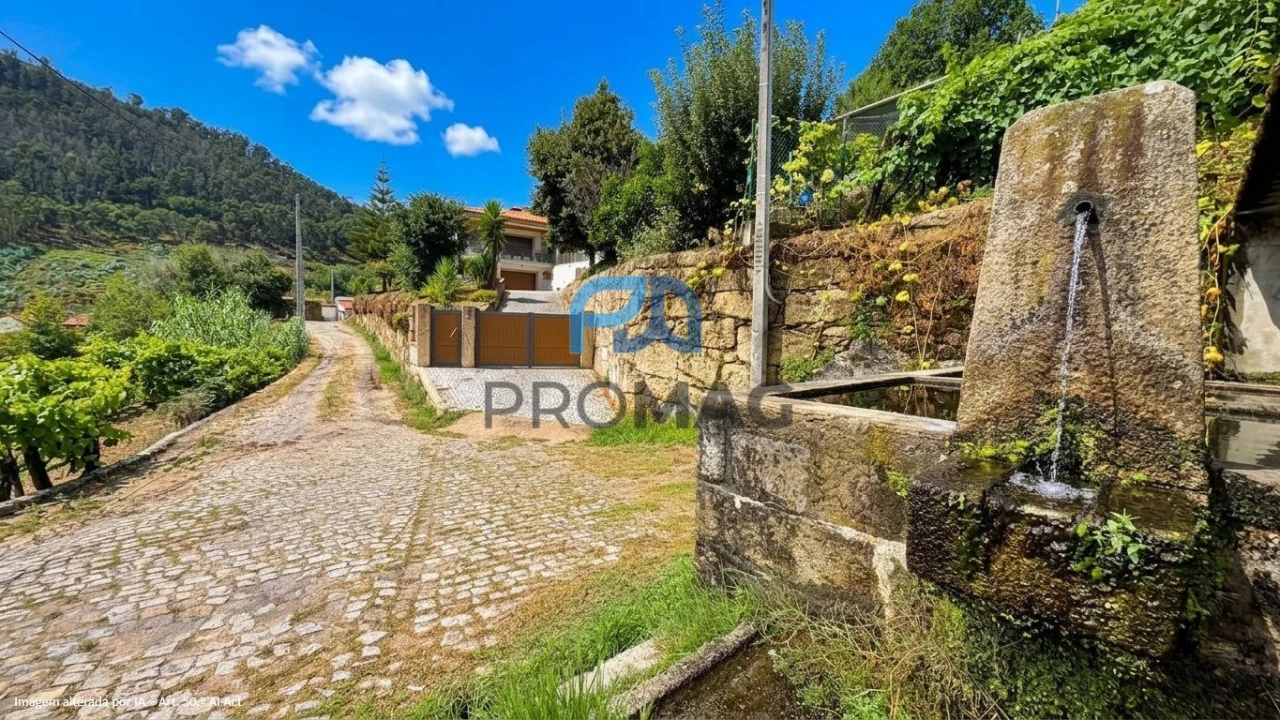 Terreno para Venda em Santa Marinha do Zezere Foto 6