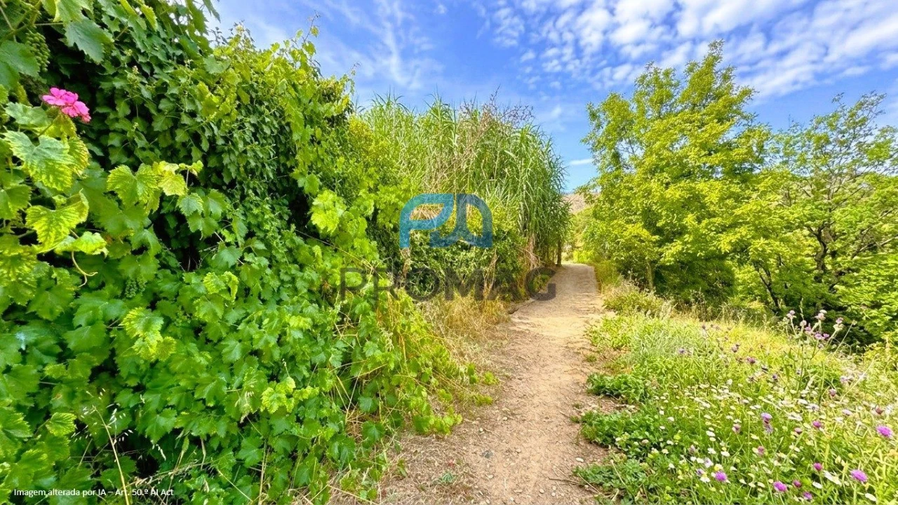 Terreno para Venda em Santa Marinha do Zezere Foto 10