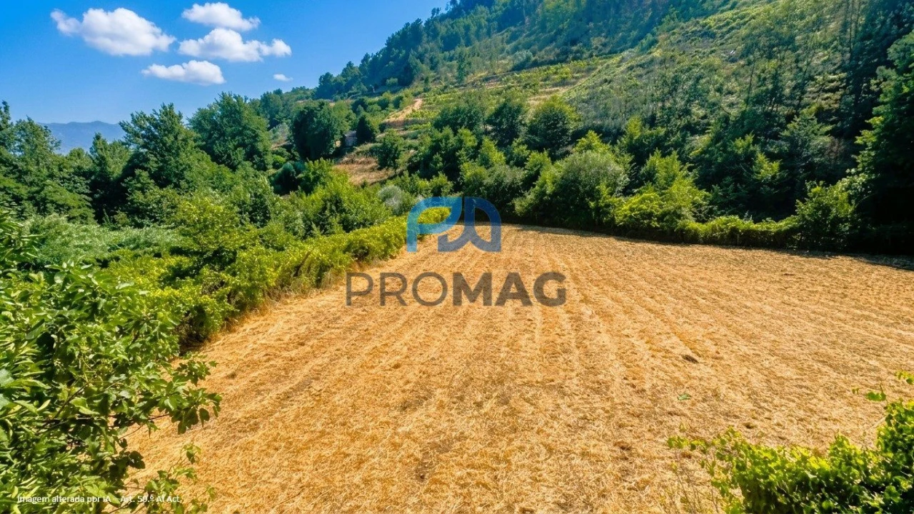 Terreno para Venda em Santa Marinha do Zezere Foto 12