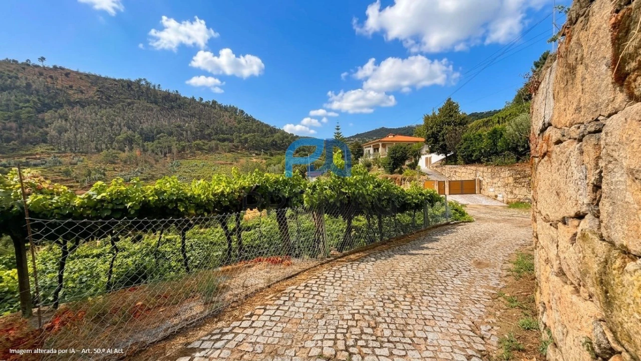 Terreno para Venda em Santa Marinha do Zezere Foto 7