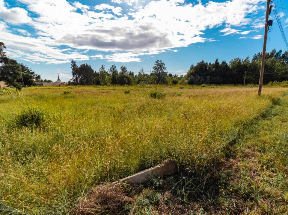 Terreno para Venda em Mira Foto 3