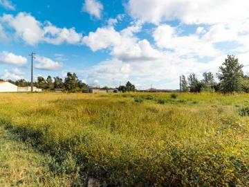 Terreno para Venda em Mira