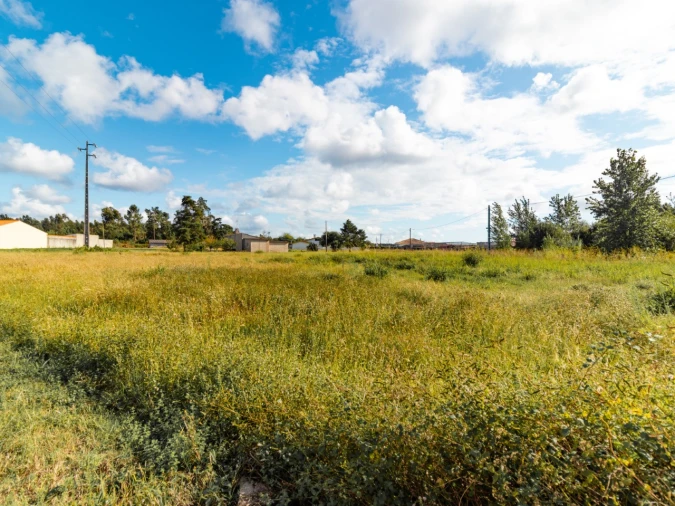 Terreno para Venda em Mira Foto 6