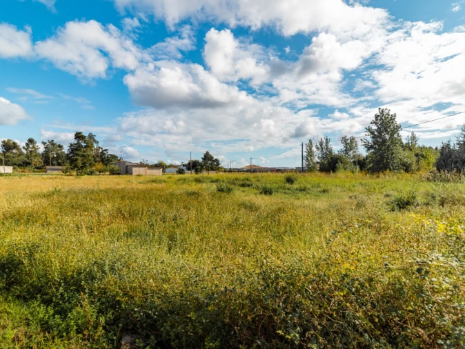 Terreno para Venda em Mira Foto 7
