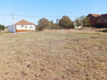 Terreno para Venda em Manique do Intendente, Vila Nova de São Pedro e Maçussa