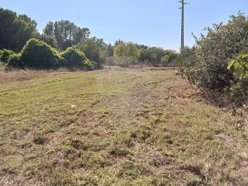 Terreno para Venda em Manique do Intendente, Vila Nova de São Pedro e Maçussa