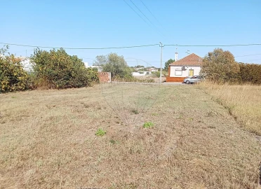 Terreno para Venda em Manique do Intendente, Vila Nova de São Pedro e Maçussa