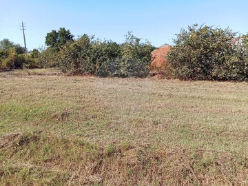 Terreno para Venda em Manique do Intendente, Vila Nova de São Pedro e Maçussa