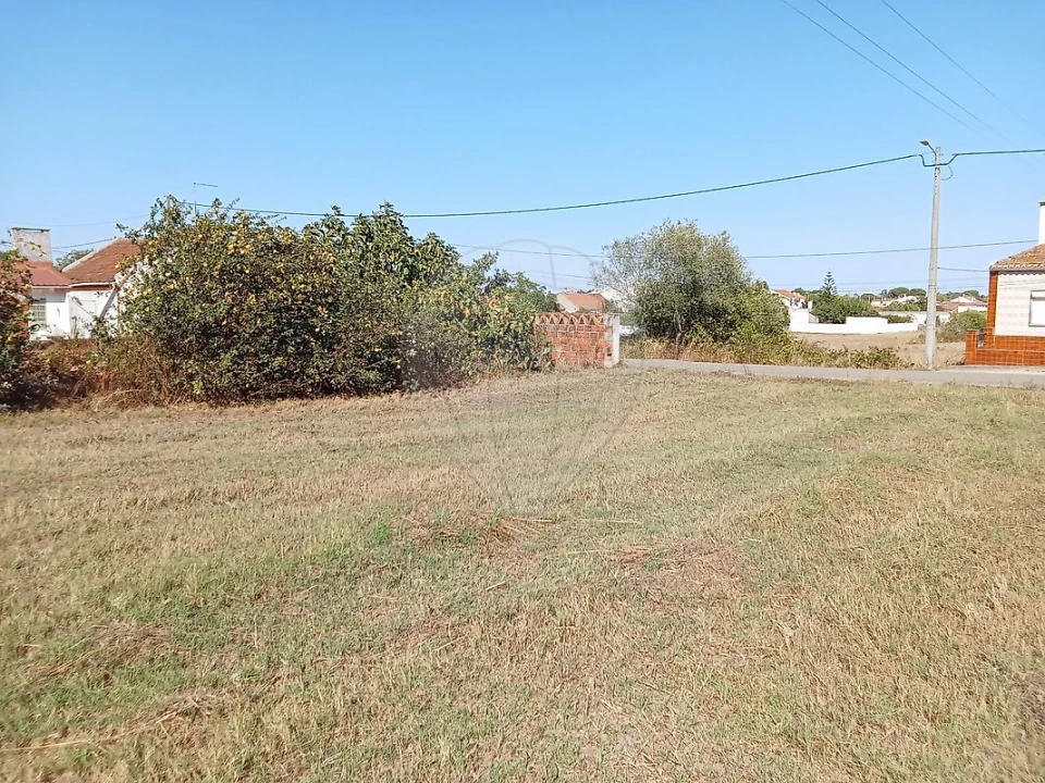 Terreno para Venda em Manique do Intendente, Vila Nova de São Pedro e Maçussa Foto 5
