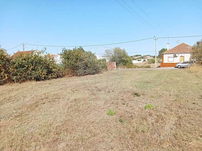Terreno para Venda em Manique do Intendente, Vila Nova de São Pedro e Maçussa Foto 3