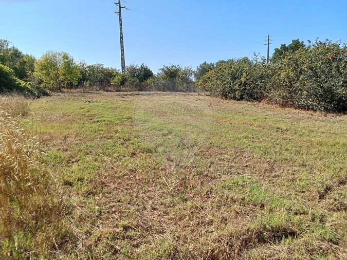 Terreno para Venda em Manique do Intendente, Vila Nova de São Pedro e Maçussa Foto 10