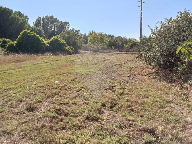 Terreno para Venda em Manique do Intendente, Vila Nova de São Pedro e Maçussa Foto 7