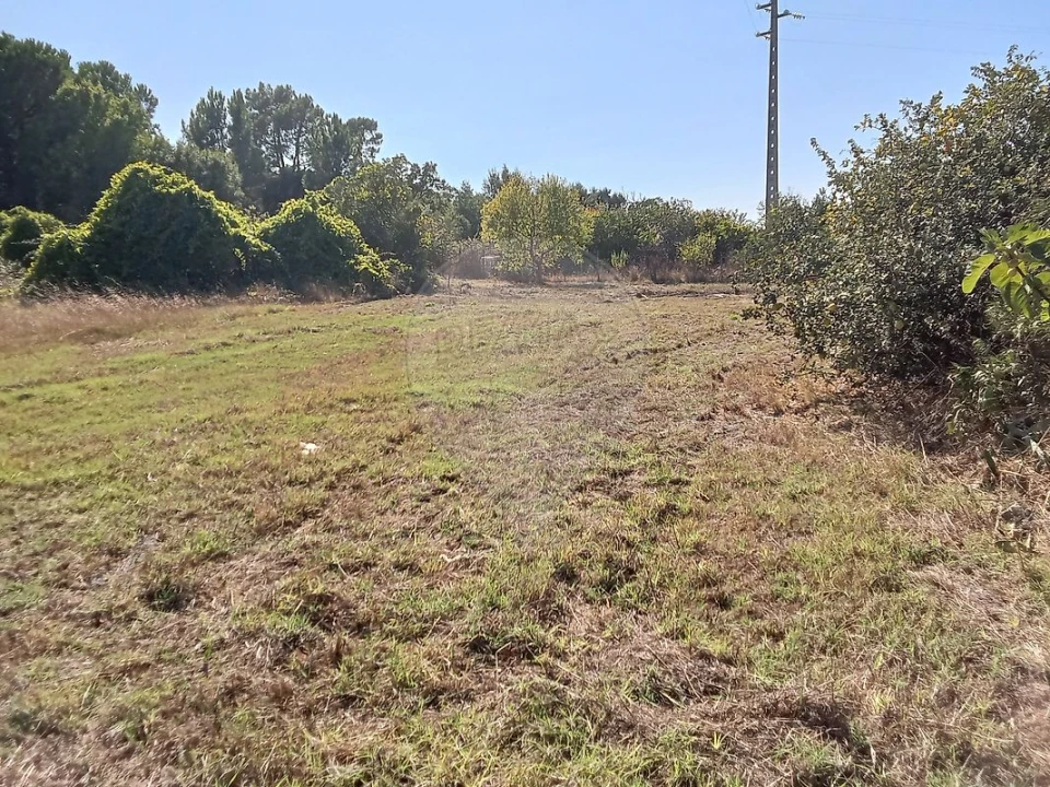 Terreno para Venda em Manique do Intendente, Vila Nova de São Pedro e Maçussa Foto 7