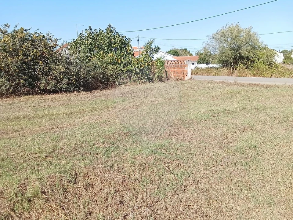 Terreno para Venda em Manique do Intendente, Vila Nova de São Pedro e Maçussa Foto 4