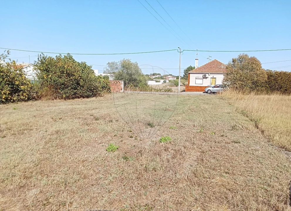 Terreno para Venda em Manique do Intendente, Vila Nova de São Pedro e Maçussa Foto 1