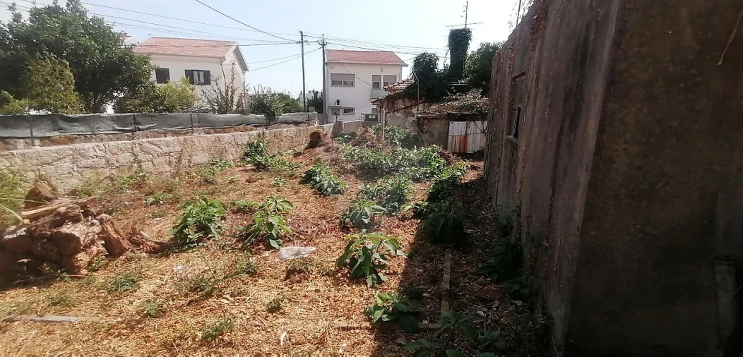 Moradia T3 para Venda em Moreira Foto 11