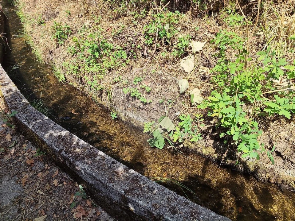 Moradia T2 para Venda em Cerva e Limões Foto 24