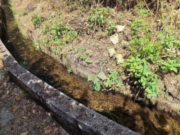 Moradia T2 para Venda em Cerva e Limões