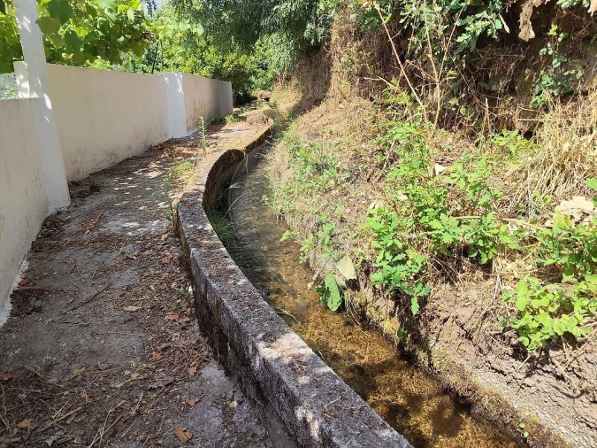 Moradia T2 para Venda em Cerva e Limões Foto 23