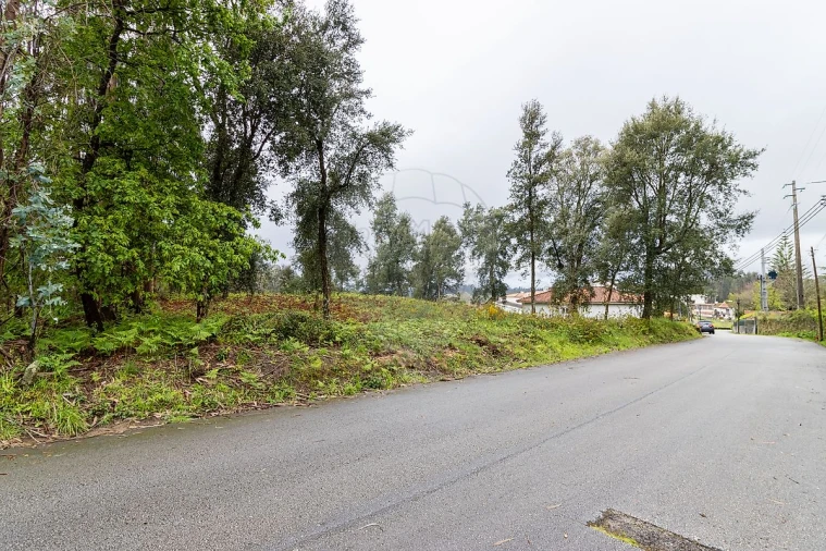 Terreno para Venda em Vila de Cucujães Foto 7