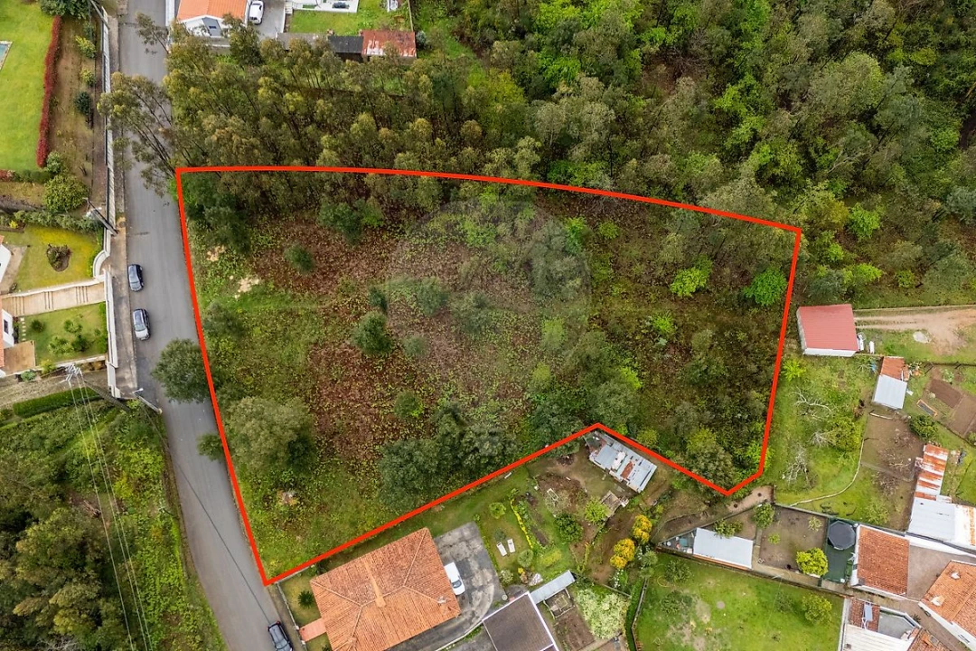 Terreno para Venda em Vila de Cucujães Foto 1