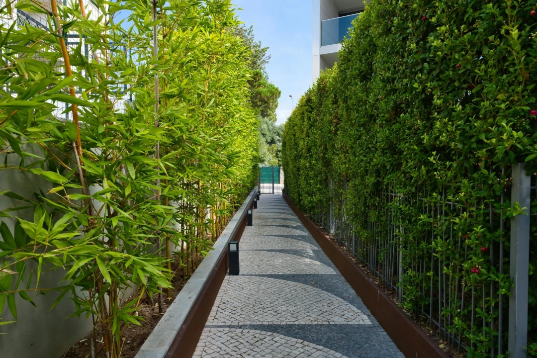 Apartamento T1 para Venda em Cascais e Estoril Foto 23