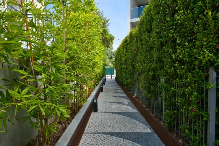 Apartamento T1 para Venda em Cascais e Estoril Foto 23