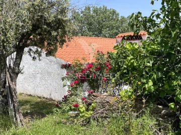 Quinta T4 para Venda em Reguengo e São Julião