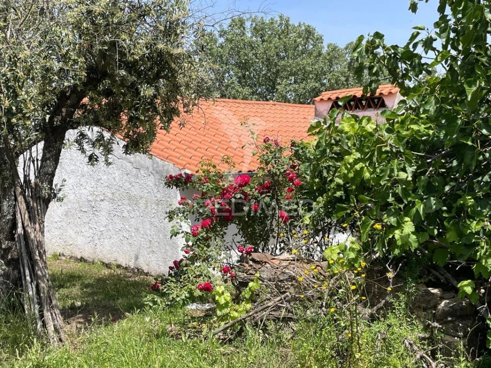Quinta T4 para Venda em Reguengo e São Julião Foto 3