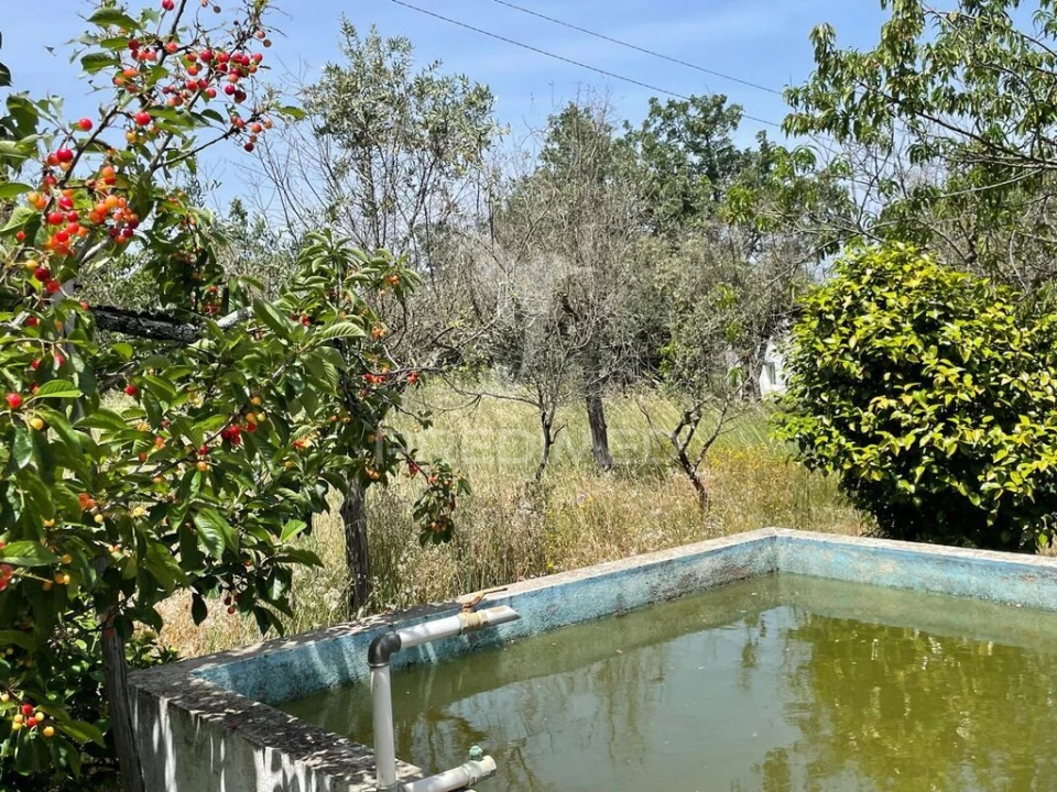 Quinta T4 para Venda em Reguengo e São Julião Foto 4