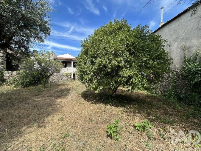 Moradia T3 para Venda em Povoa de Midões Foto 5