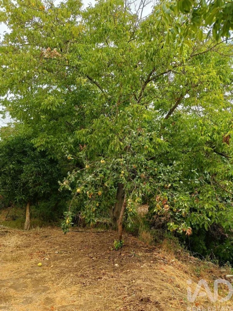 Moradia T2 para Venda em Gloria