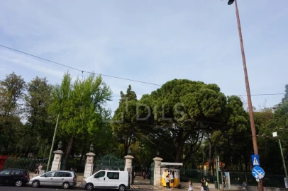 Apartamento T1 para Venda em Estrela