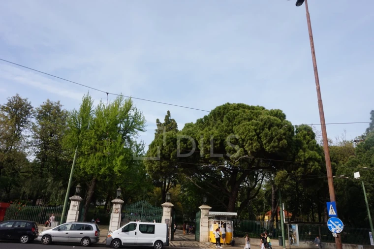 Apartamento T1 para Venda em Estrela Foto 10