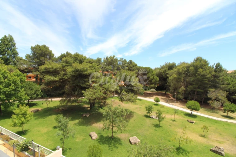 Apartamento T3 para Arrendamento em Cascais e Estoril Foto 5