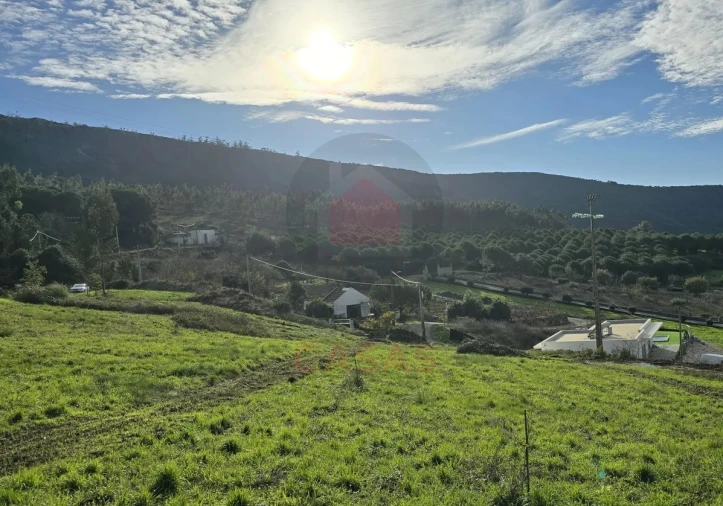 Terreno para Venda em Lamas e Cercal Foto 4