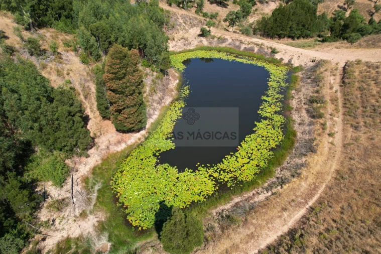 Quinta T6 para Venda em São Marcos da Serra Foto 7