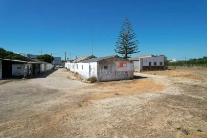 Negócio para Venda em Odiaxere