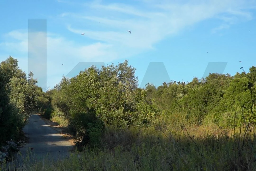 Terreno para Venda em Loule (São Clemente) Foto 31
