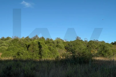 Terreno para Venda em Loule (São Clemente)