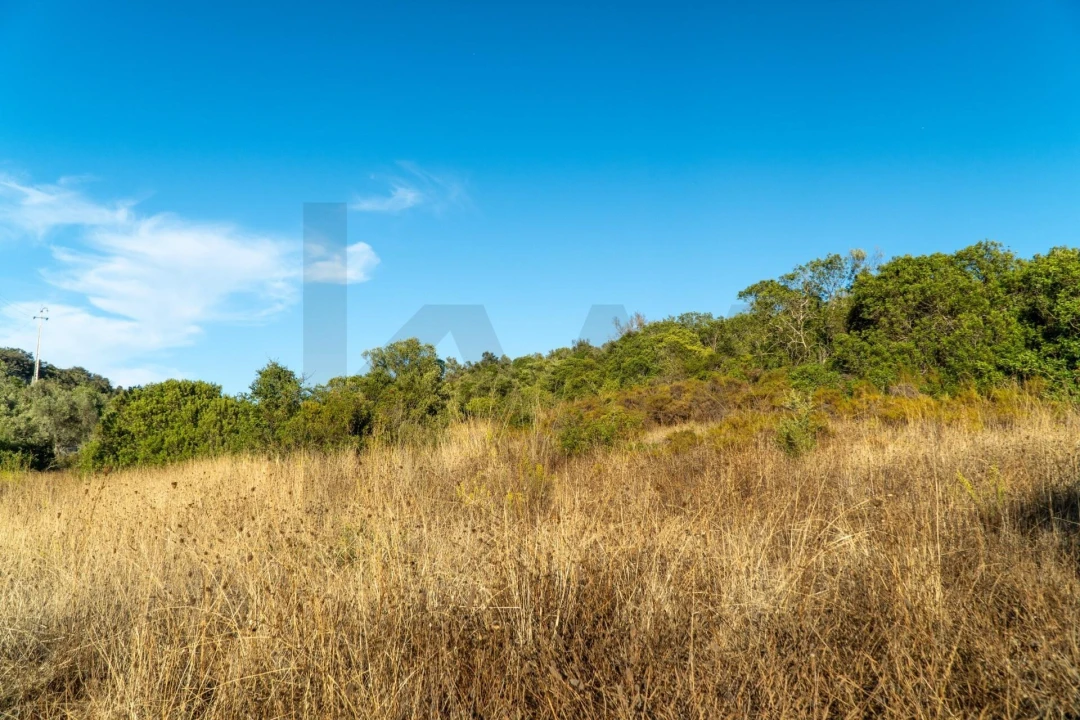 Terreno para Venda em Loule (São Clemente) Foto 18