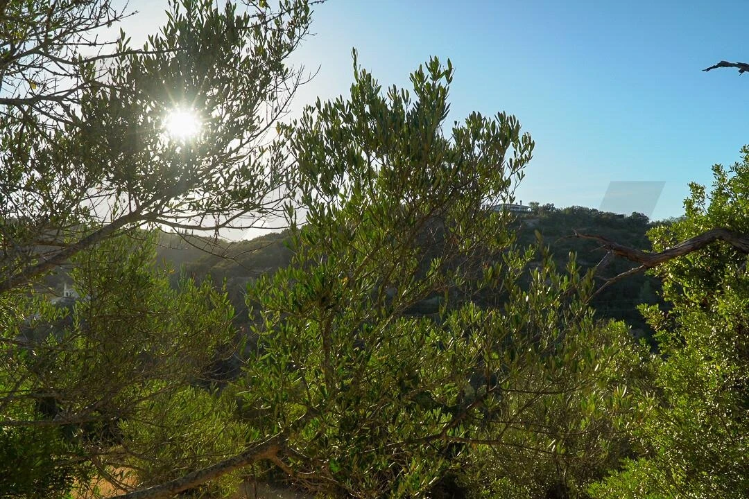 Terreno para Venda em Loule (São Clemente) Foto 29