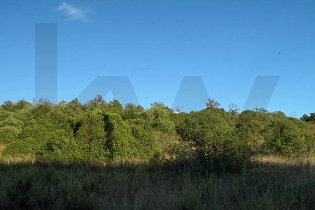 Terreno para Venda em Loule (São Clemente) Foto 32