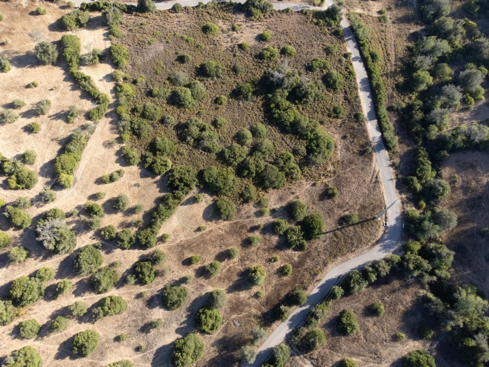 Terreno para Venda em Loule (São Clemente) Foto 8
