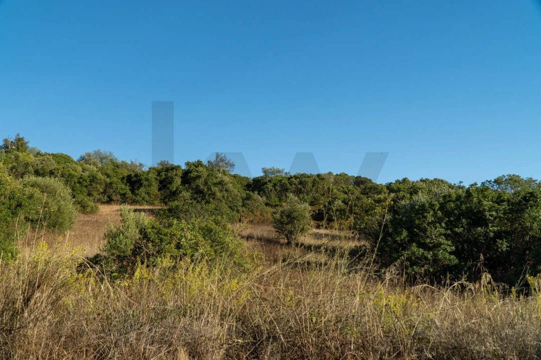 Terreno para Venda em Loule (São Clemente) Foto 14